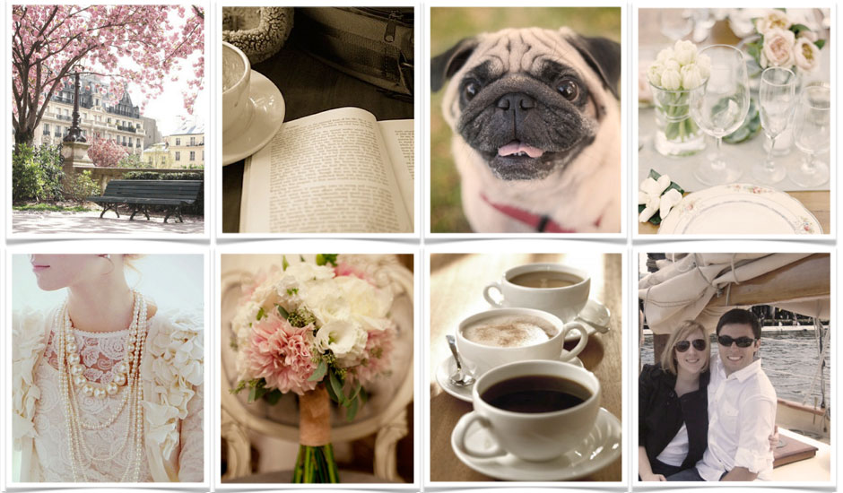 About-Shannon-Board