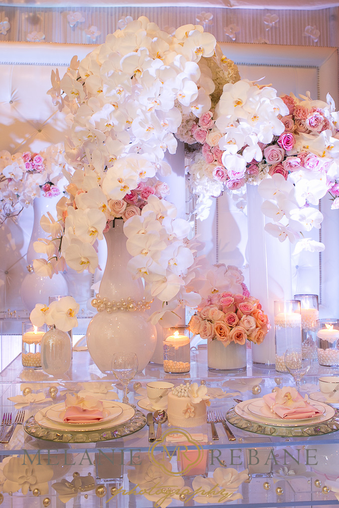 Wedding Photographer Ottawa Wedluxe-12