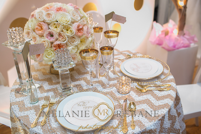 Wedding Photographer Ottawa Wedluxe-16